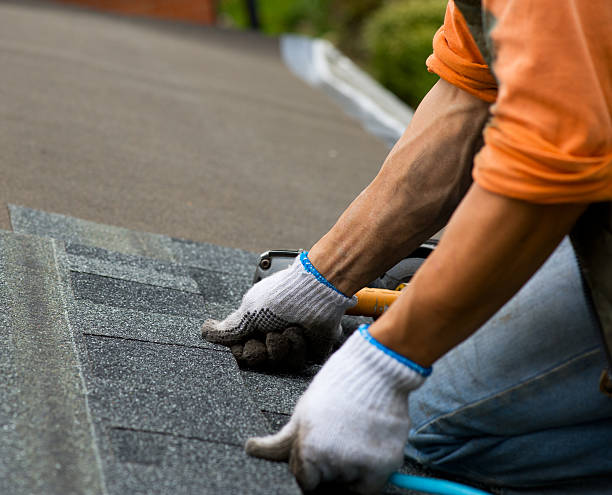 Best New Roof Installation  in Rochelle, GA